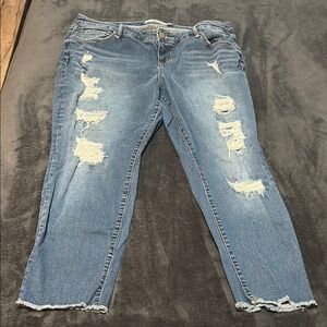 Torrid Distressed Jeans